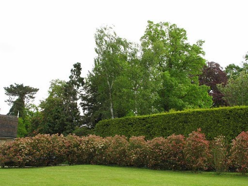 Woodcote Lodges · Photos 5